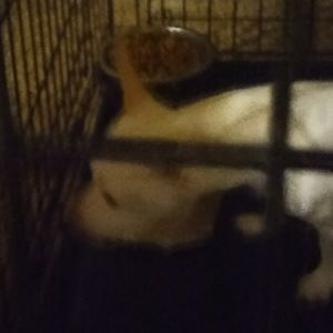 Meet your Posher, Glitter